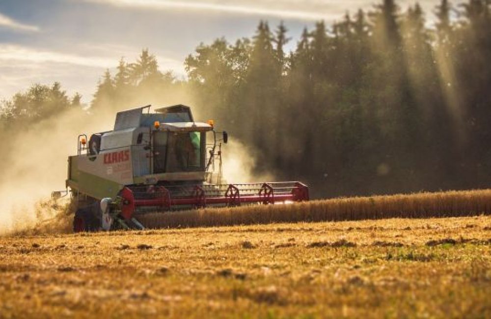 439eeaac-17e5-4701-98d5-a6648837f459